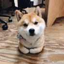 樱桃小丸子ry的个人资料头像