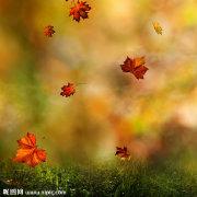 _拾心_的个人资料头像