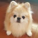 IT匠的个人资料头像