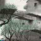 牛蛙酱的个人资料头像