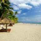 轻臣的个人资料头像