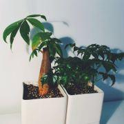 zen7799的个人资料头像