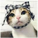 NickyMa的个人资料头像