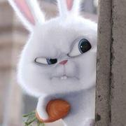 aiOSFuture的个人资料头像