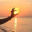 Jacob本尊42653的个人资料头像