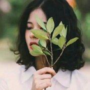 逸笛知雅意的个人资料头像