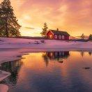 絮浪的个人资料头像