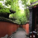 青木堂主的个人资料头像