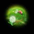 北极的个人资料头像