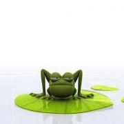 洛浦清风1784034593的个人资料头像