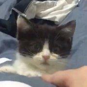 A一GUA的个人资料头像