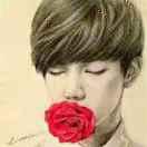 凯旋同学的个人资料头像