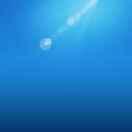 YY就是我42869的个人资料头像