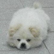 无无无www无无无的个人资料头像