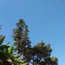 A王A的个人资料头像