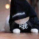 一树君的个人资料头像