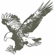 GavinZhuLei43065的个人资料头像