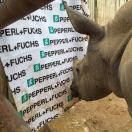 肖栋Anthony的个人资料头像