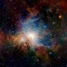 懦弱给谁看的个人资料头像