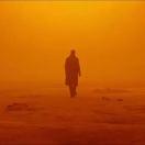 Mo同学43161的个人资料头像