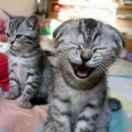 嘉jl的个人资料头像