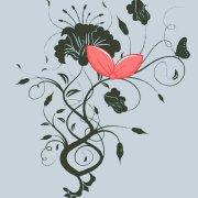 可乐958的个人资料头像