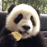 all3nyuan的个人资料头像