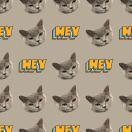 dsmo7的个人资料头像