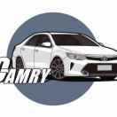 maple爱学习43237的个人资料头像