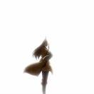 踟蹰的个人资料头像