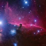 xeqtr1982的个人资料头像