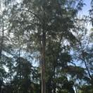 唐磊重名了的个人资料头像