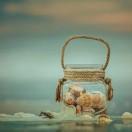 厉轲的个人资料头像