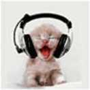 SKY爱学习43269的个人资料头像