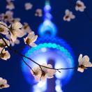 Lanny不想说话的个人资料头像