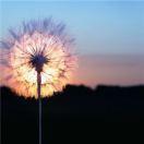 一缕青烟同志的个人资料头像