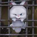 增文的个人资料头像