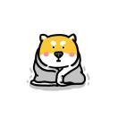 南方姑娘的个人资料头像