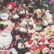 孙倩倩要努力长脑子的个人资料头像