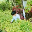 真爱永恒同志的个人资料头像