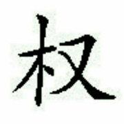 LonceraNitida的个人资料头像