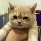 远方爱学习43382的个人资料头像