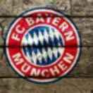 toby酱的个人资料头像