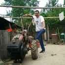 宋洋的个人资料头像