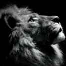 存在_有谁看见的个人资料头像