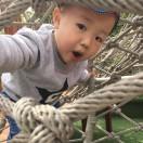 LHL本尊的个人资料头像