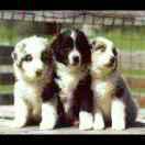 夜枫同学的个人资料头像