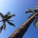 爱马尔的个人资料头像