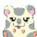 章程的个人资料头像