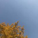 黄静爱学习的个人资料头像